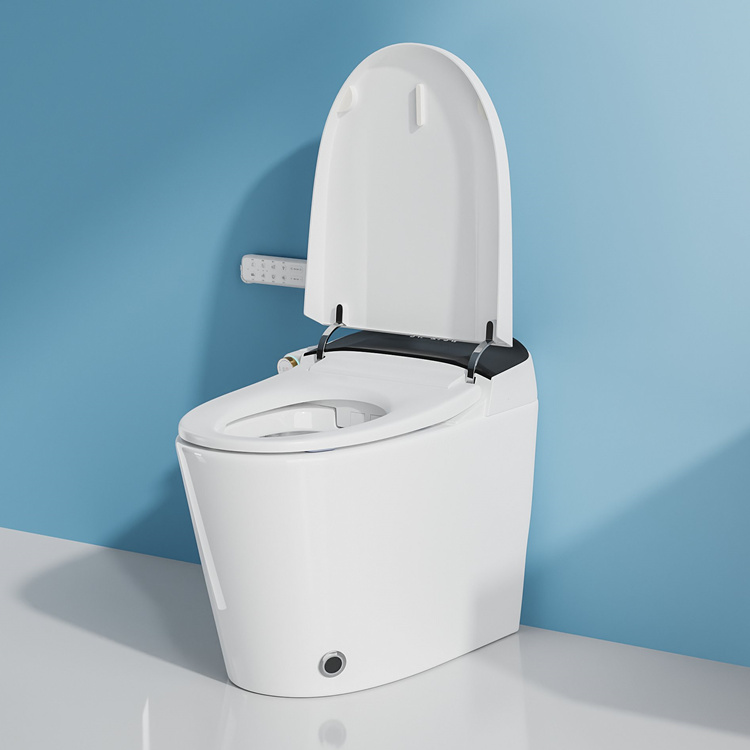 WC Intelligente con Sensore di - Home And Bathroom recensione e prezzo