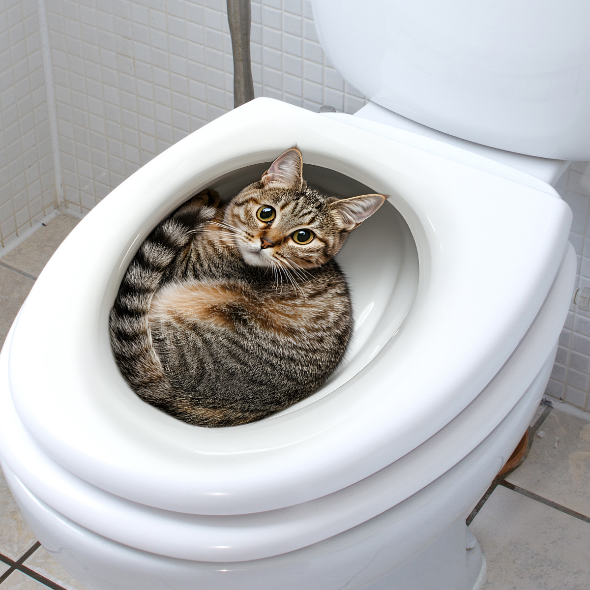 Adesivo per WC gatto divertent - Tiny Home Bathroom Kit recensione e prezzo
